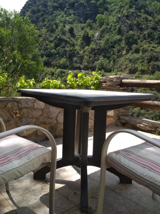 圭哈尔谢拉 Cortijo La Solana旅馆 外观 照片