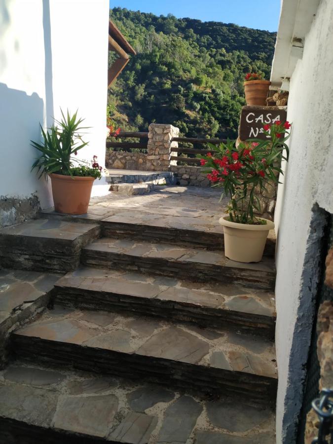 圭哈尔谢拉 Cortijo La Solana旅馆 外观 照片