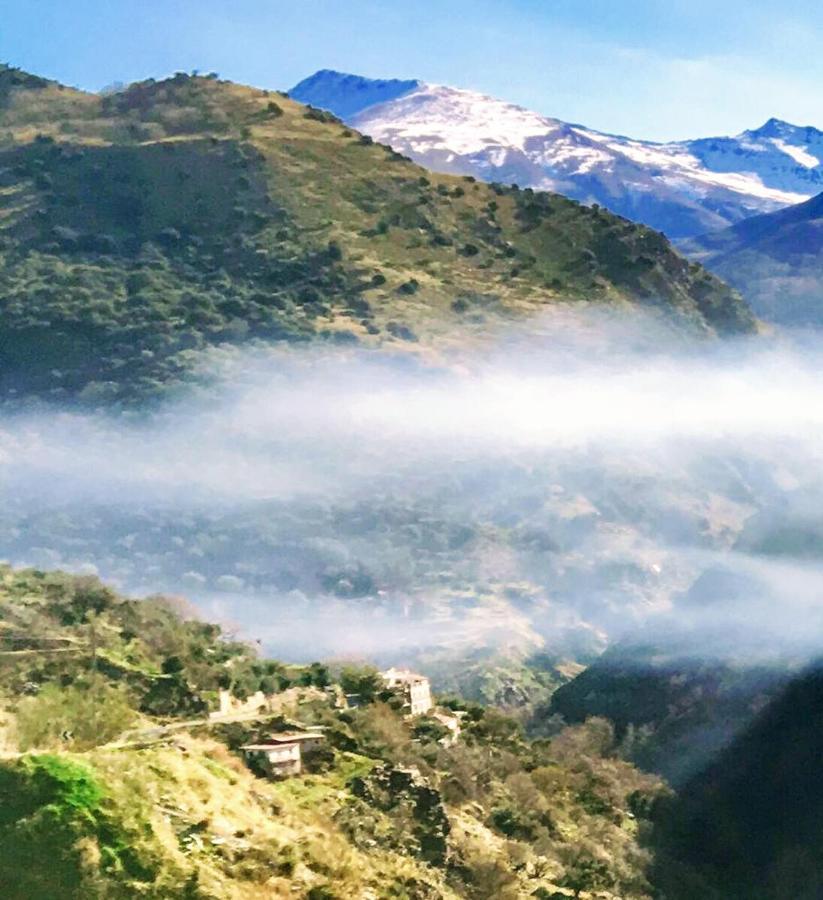 圭哈尔谢拉 Cortijo La Solana旅馆 外观 照片