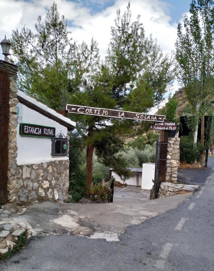 圭哈尔谢拉 Cortijo La Solana旅馆 外观 照片