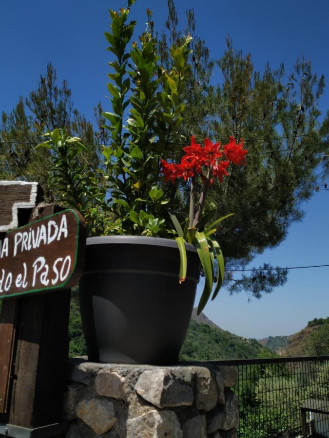 圭哈尔谢拉 Cortijo La Solana旅馆 外观 照片