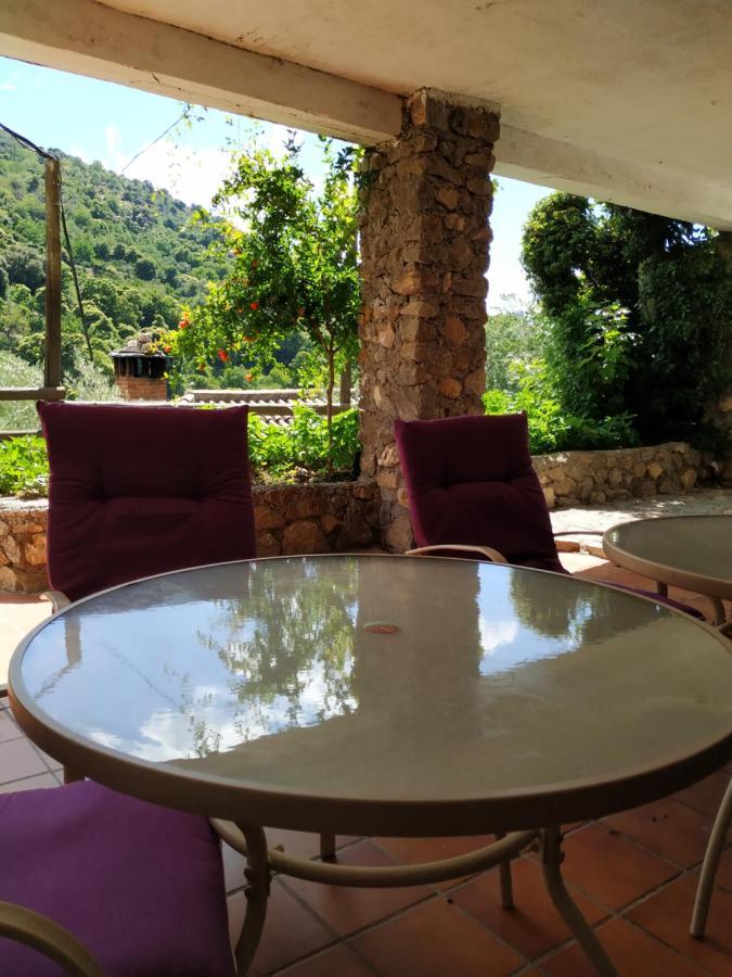 圭哈尔谢拉 Cortijo La Solana旅馆 外观 照片