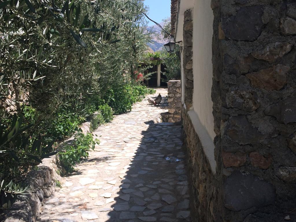 圭哈尔谢拉 Cortijo La Solana旅馆 外观 照片