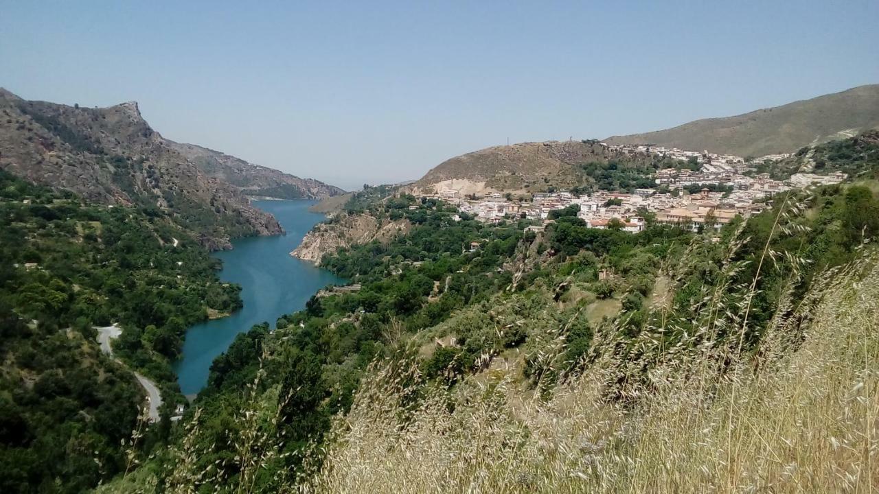 圭哈尔谢拉 Cortijo La Solana旅馆 外观 照片